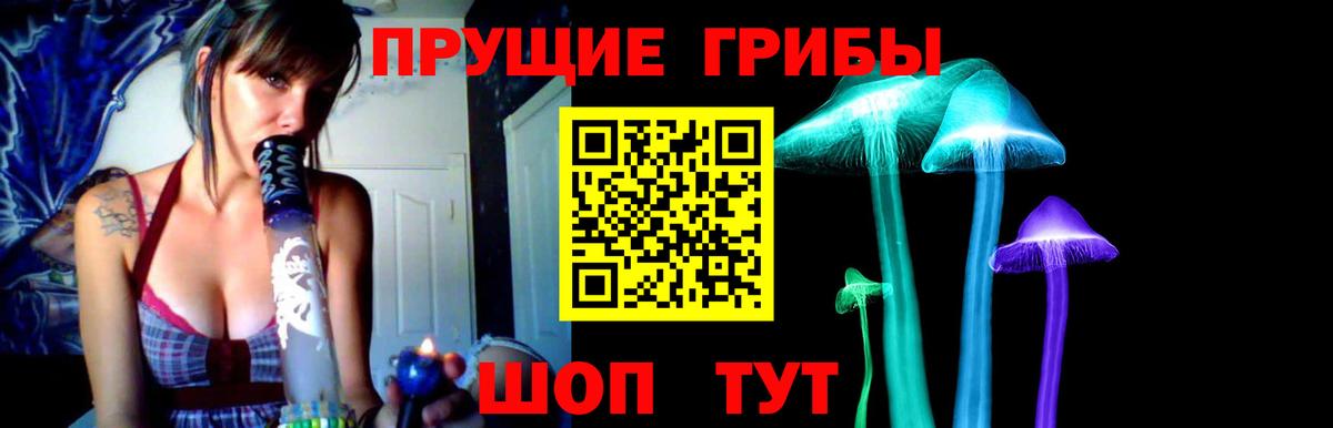 цены   Галлюциногенные грибы Cubensis  Черногорск  Вход с VPN  Псилоцибиновые грибы прущие грибы 